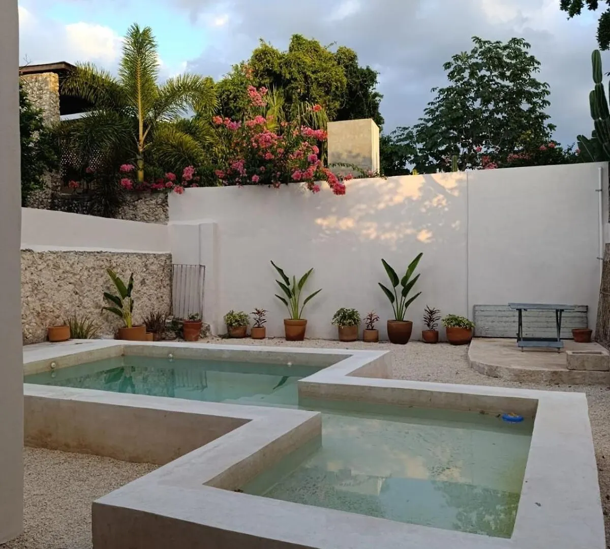 Enjoy Merida At Casa Cambas Willa
