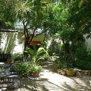 Hotel Decu Downtown, Merida